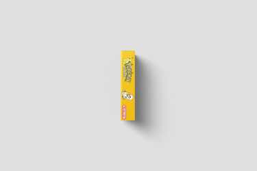 Pokemon Yellow Version: Special Pikachu Edition - Game Boy Ersatzbox