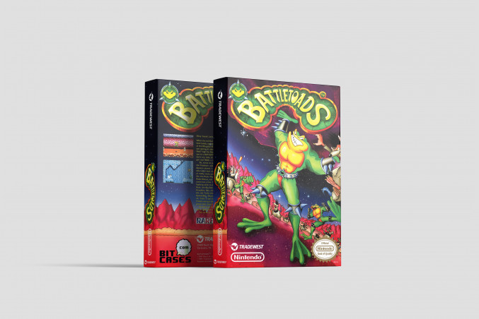 Battletoads - Nintendo NES Ersatzbox