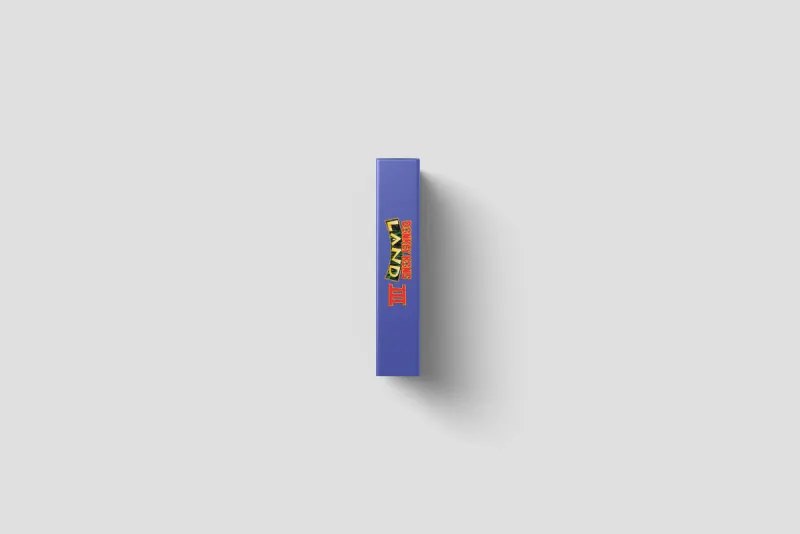 Donkey Kong Land 3 - Boîte de remplacement Game Boy, image 4