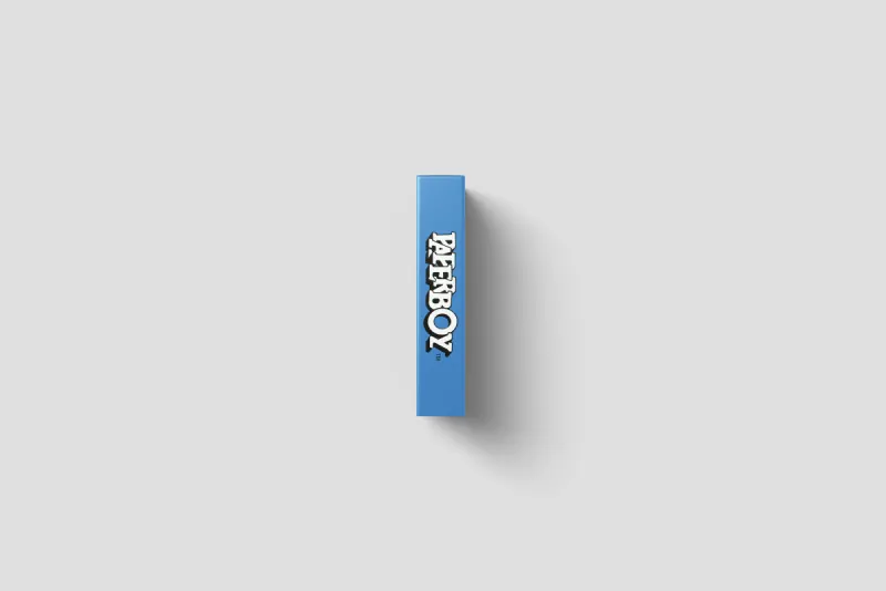 Paperboy - Scatola di ricambio Game Boy, immagine 4